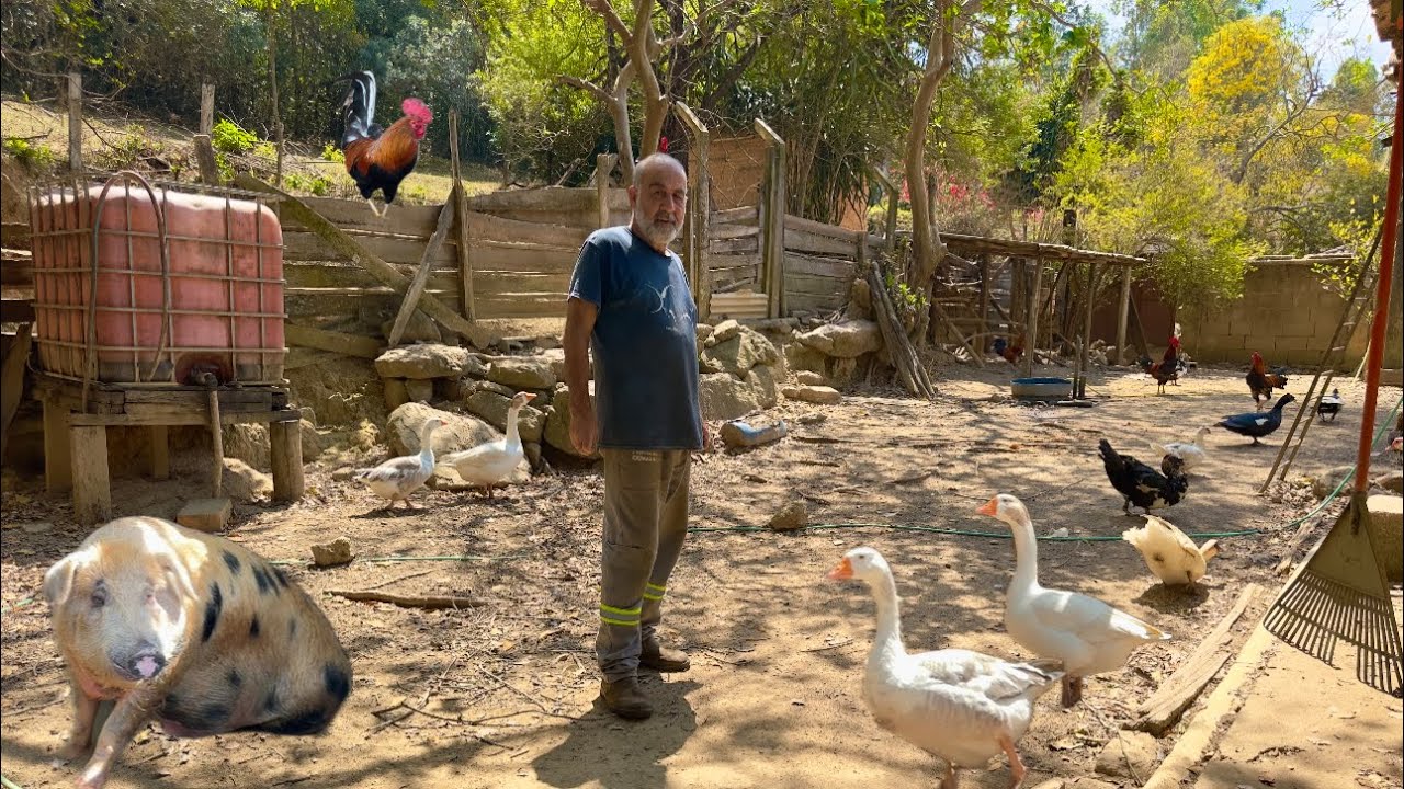 Aos 70 anos esse senhor teve que colocar seu paraíso a venda em Minas.