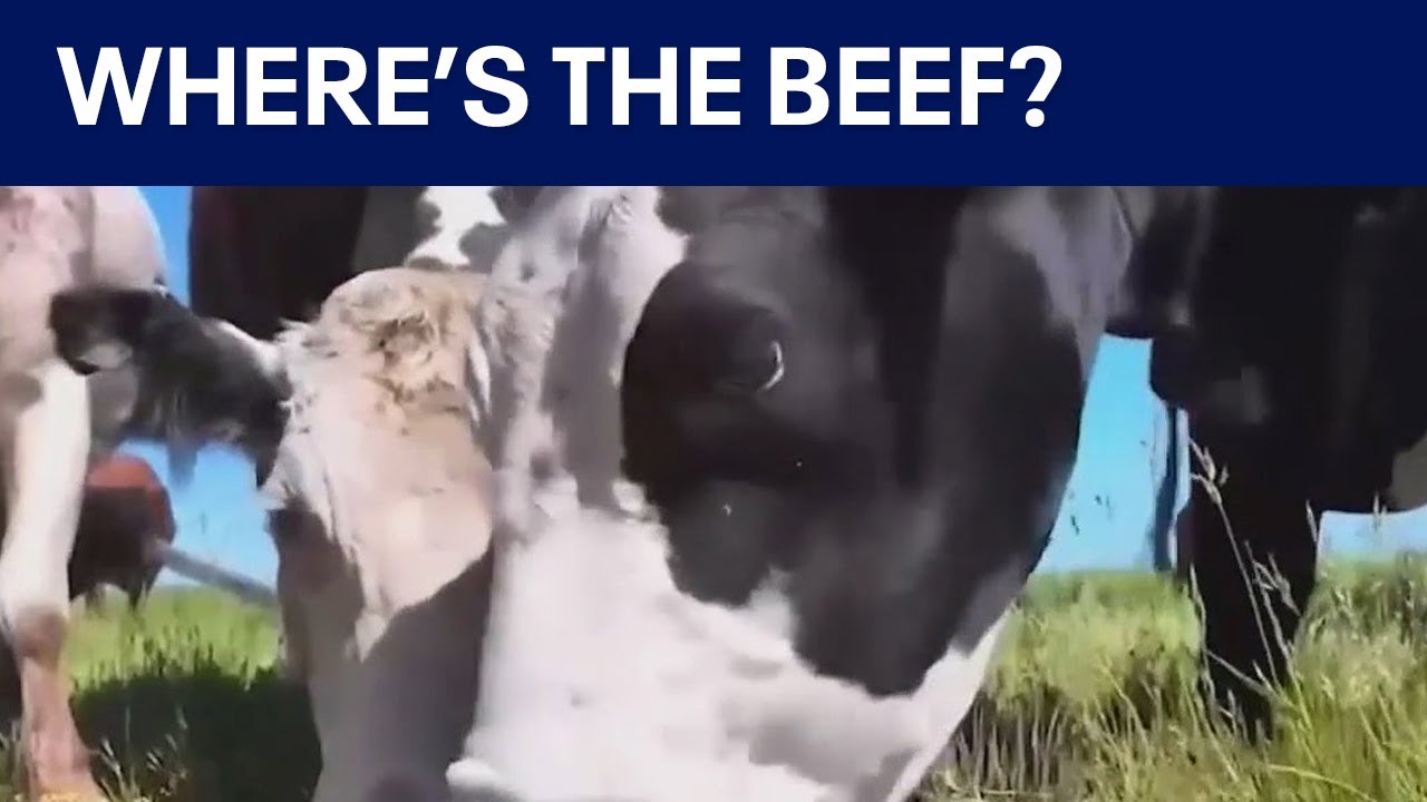 America's beef crisis: Bleak outlook for nation's meat supply