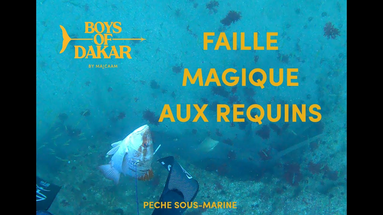 🥇PECHE SOUS-MARINE - FAILLE MAGIQUES AUX REQUINS TRIP2 J2 -  MAJCAAM - BOYS OF DAKAR - Ep. 294