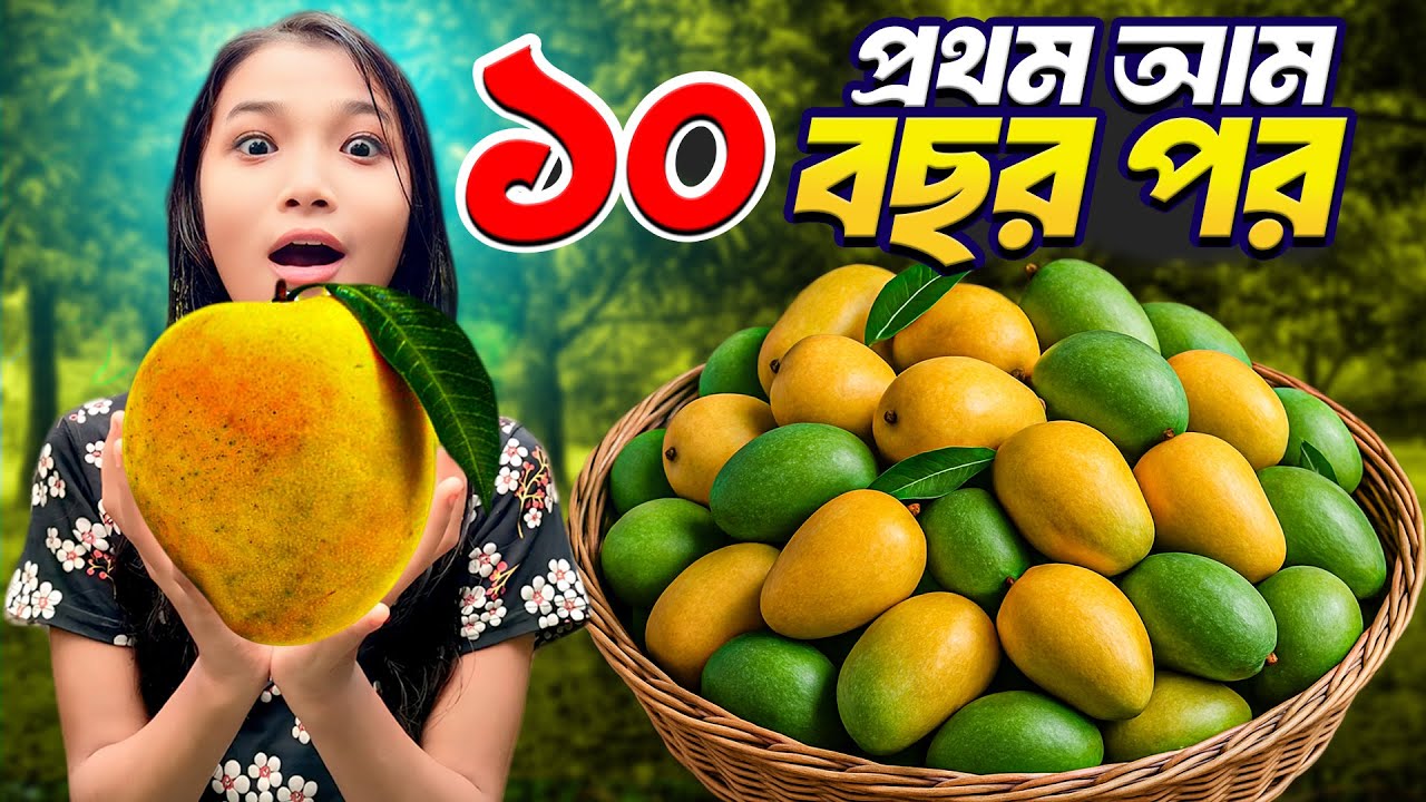 যা ঘটল আম তুলতে গিয়ে, ভাবতেও পারিনি 🥭 ১০ বছর পর গাছে ফল