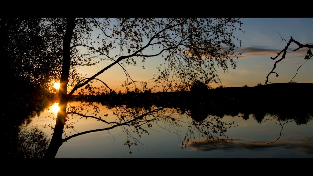 Discover summer in Lapland - Beyond Arctic