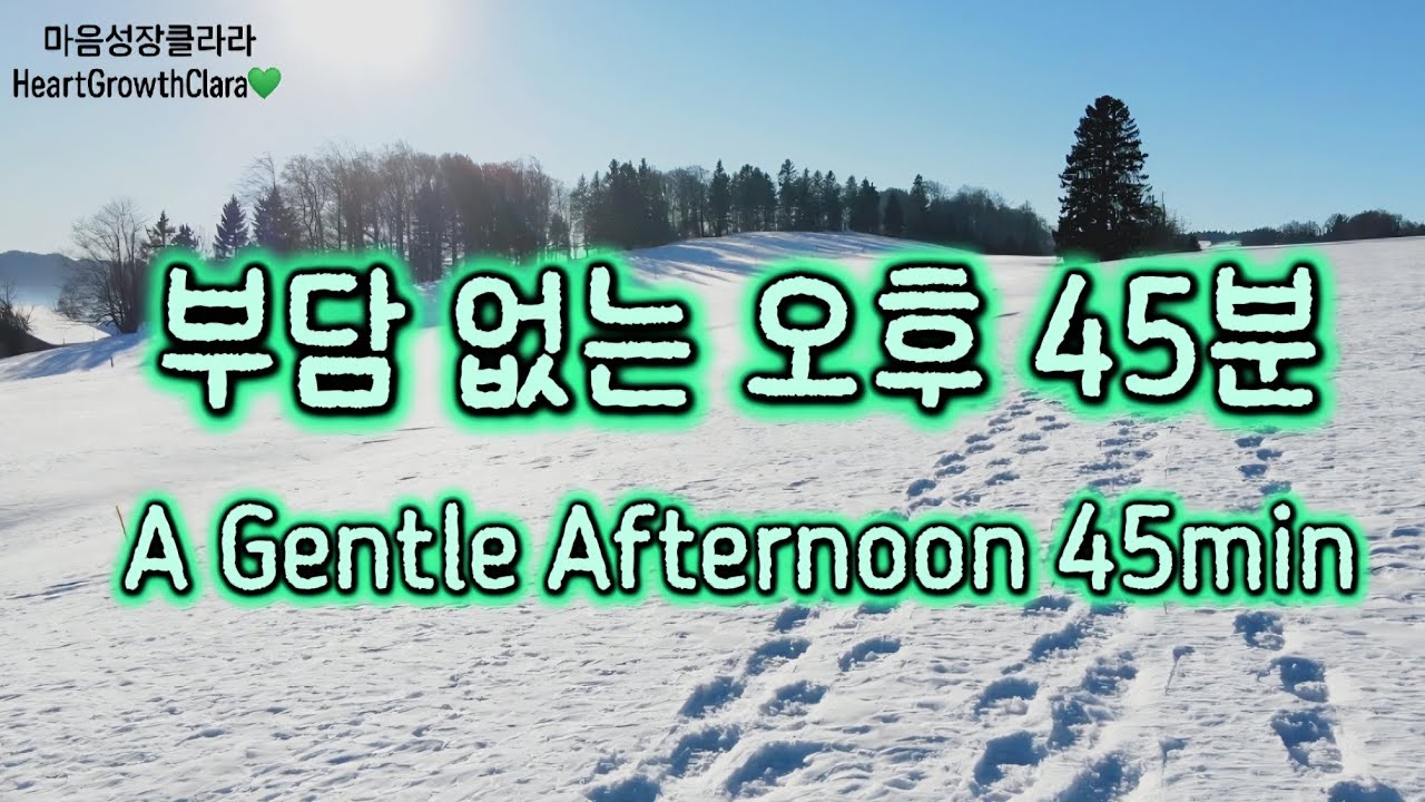 겨울 오후, 마음을 내려놓는 부드러운 쉼 45분💚 | Letting Go in a Soft Winter Afternoon 45min💚