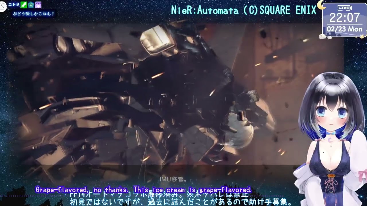 【初見じゃないけど】アドバイスをください 【NieR:Automata】