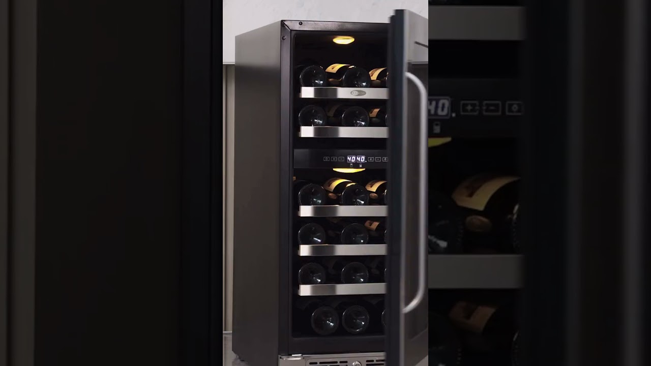 🍷 Meet the Whynter BSR-029DW