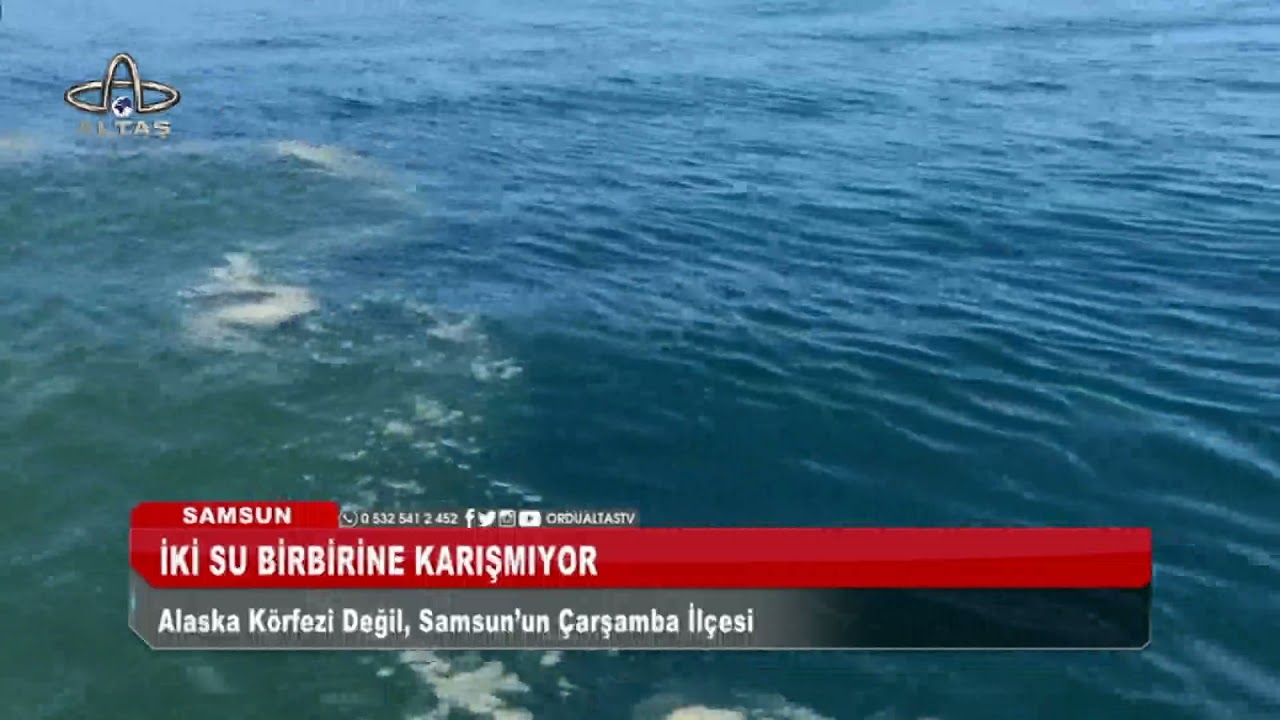 Samsun'un Çarşamba ilçesinde iki su birbine karışmıyor I Ordu Altaş TV - 09 Temmuz 2021