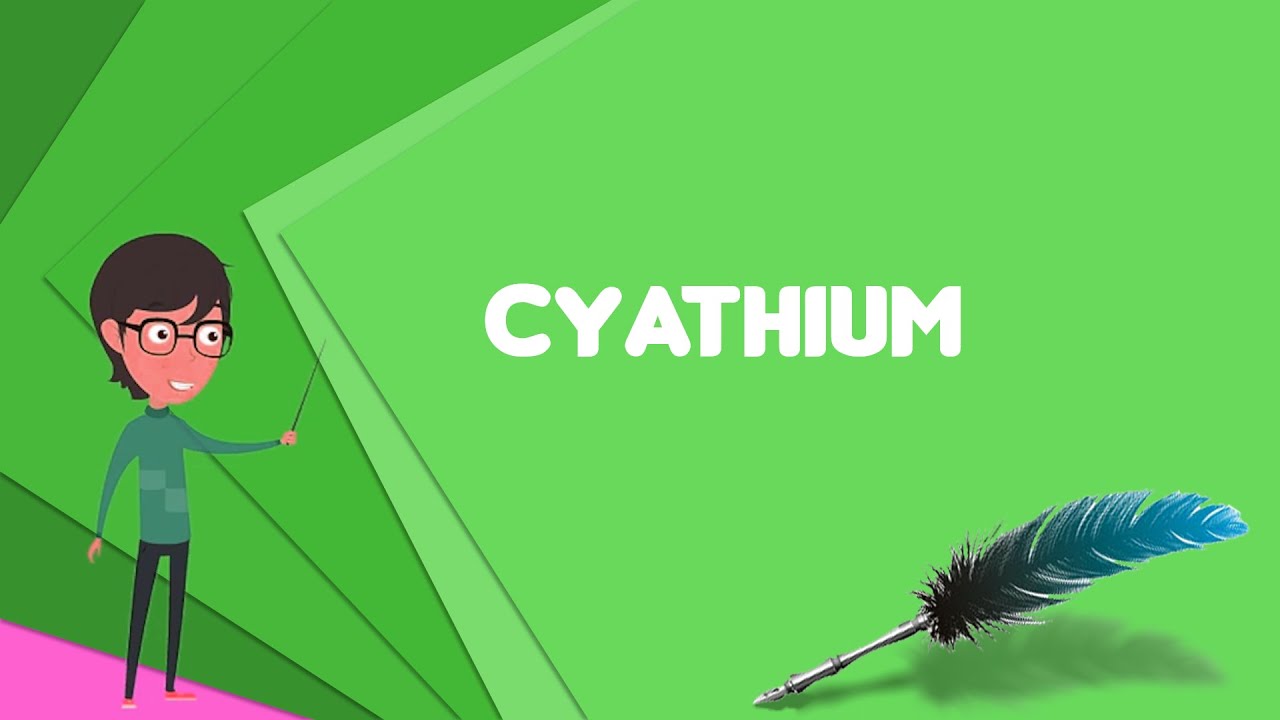 What is Cyathium? Explain Cyathium, Define Cyathium, Meaning of Cyathium