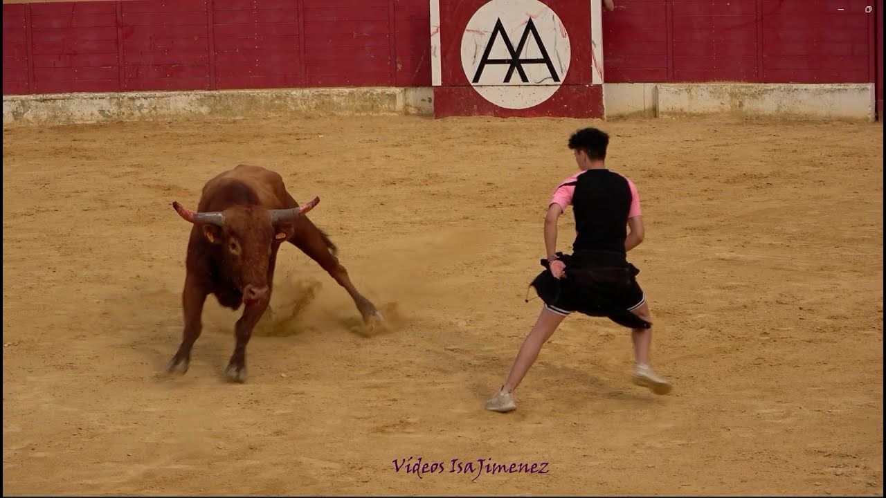 Alagón (Zaragoza) - 13/06/2025 - Tarde del Aficionado - HD