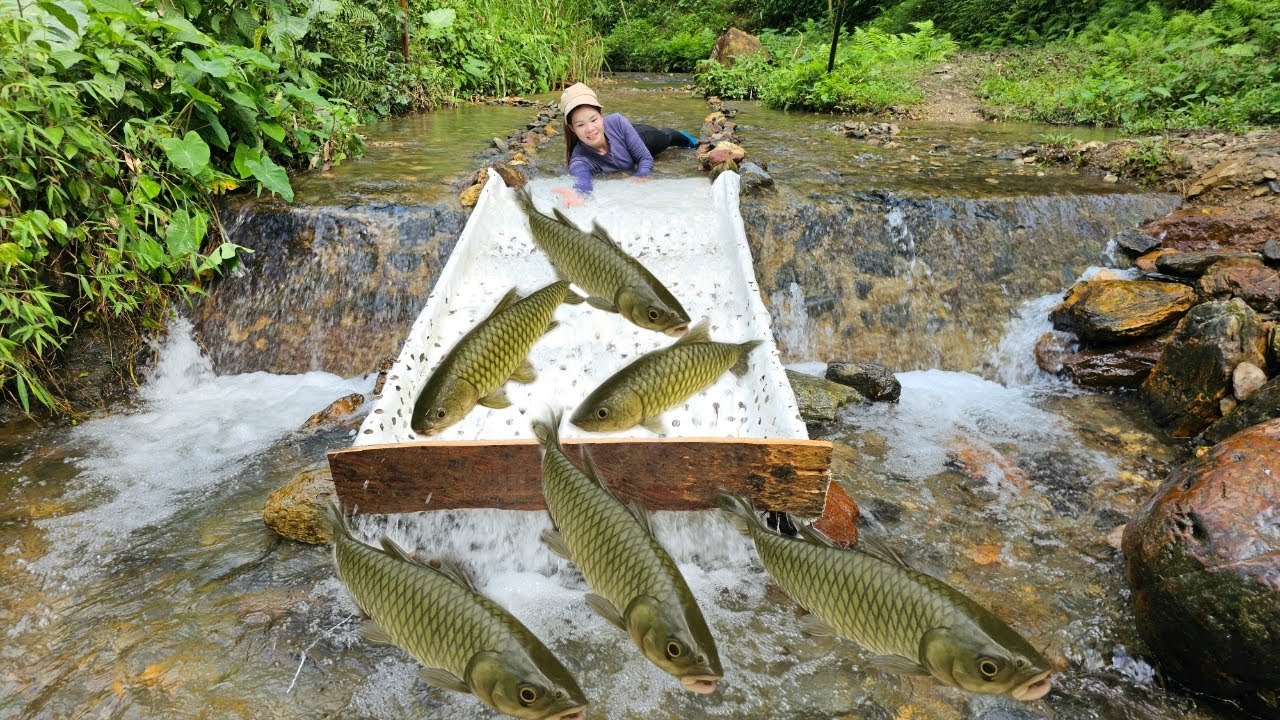 The girl caught a lot of big fish from the wooden slide. | Ana fishing