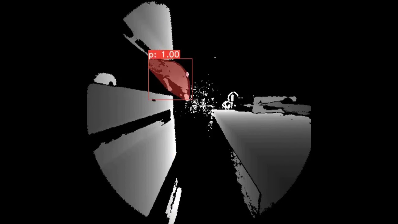 VIZTA Person detection and segmentation