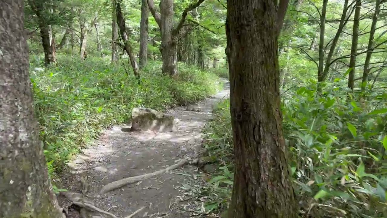 上高地散步 ─ 河童橋至明神池路線