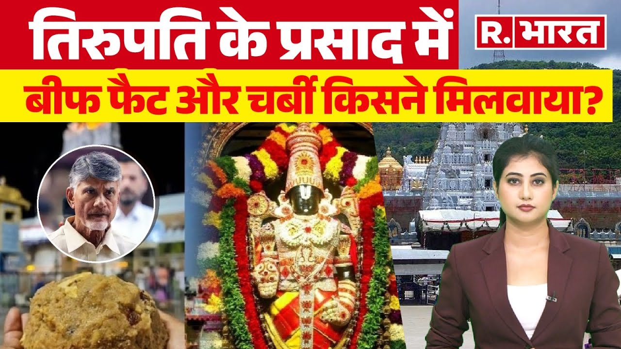 'Tirupati Temple के प्रसाद में Ghee की जगह इस्तेमाल होता था Beef' | CM Naidu | Jagan | Laddu