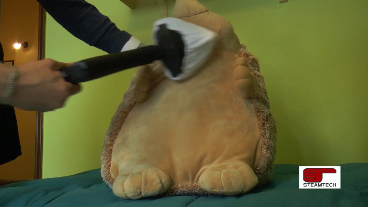 Cleaning Home