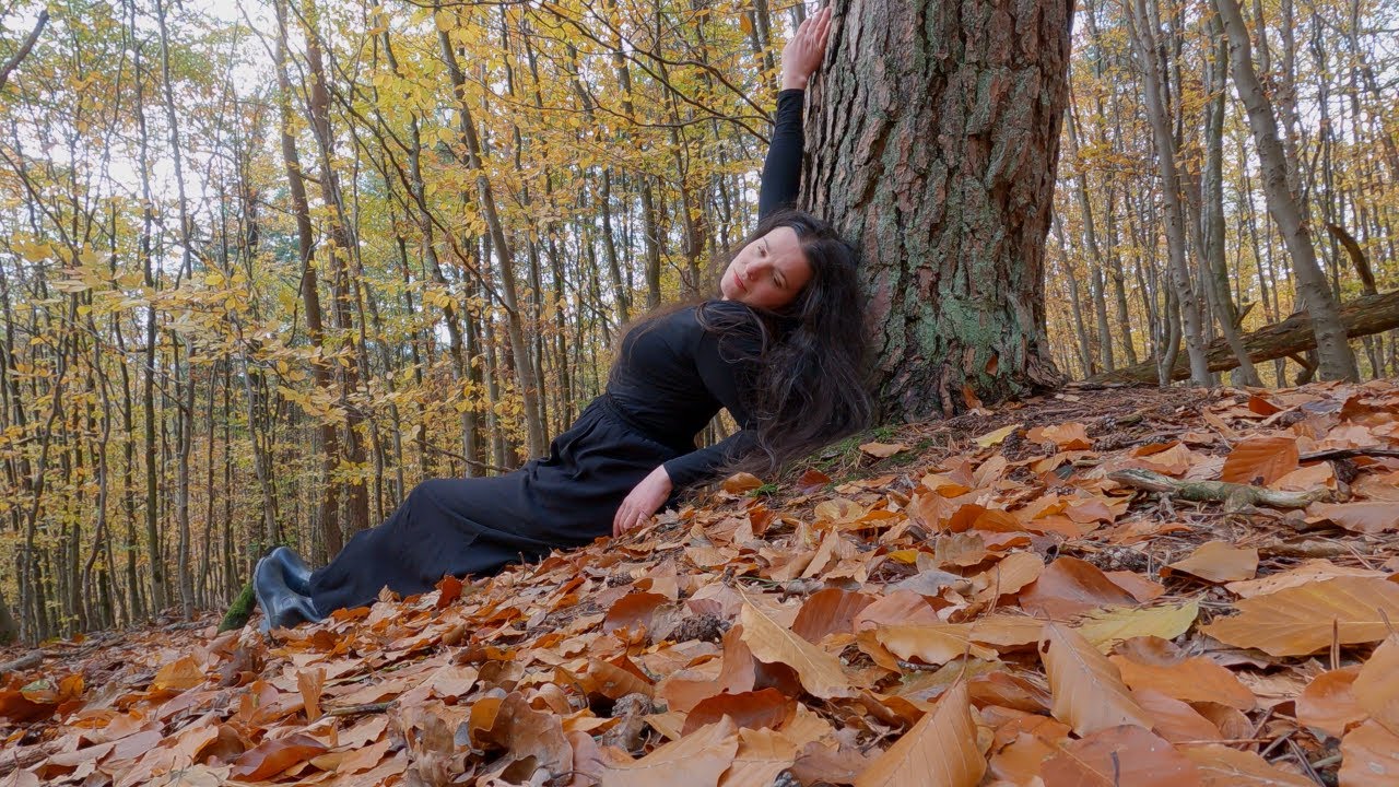 Fall to Winter Alone by the Woods
