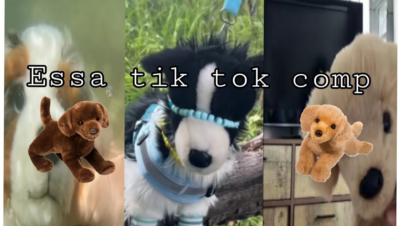 Essa tik tok comp