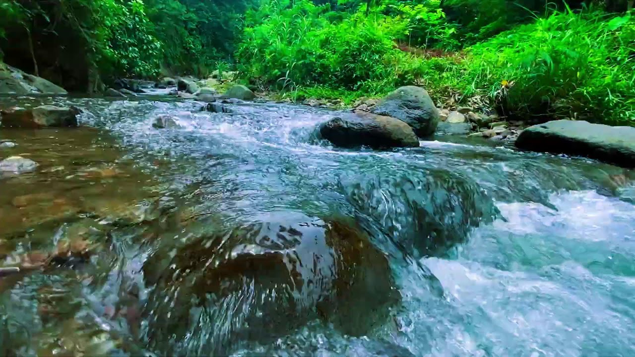 ТОЛЬКО ПОСЛУШАЙ ЭТО… 🌿 Самая чистая тропическая река для сна и медитации