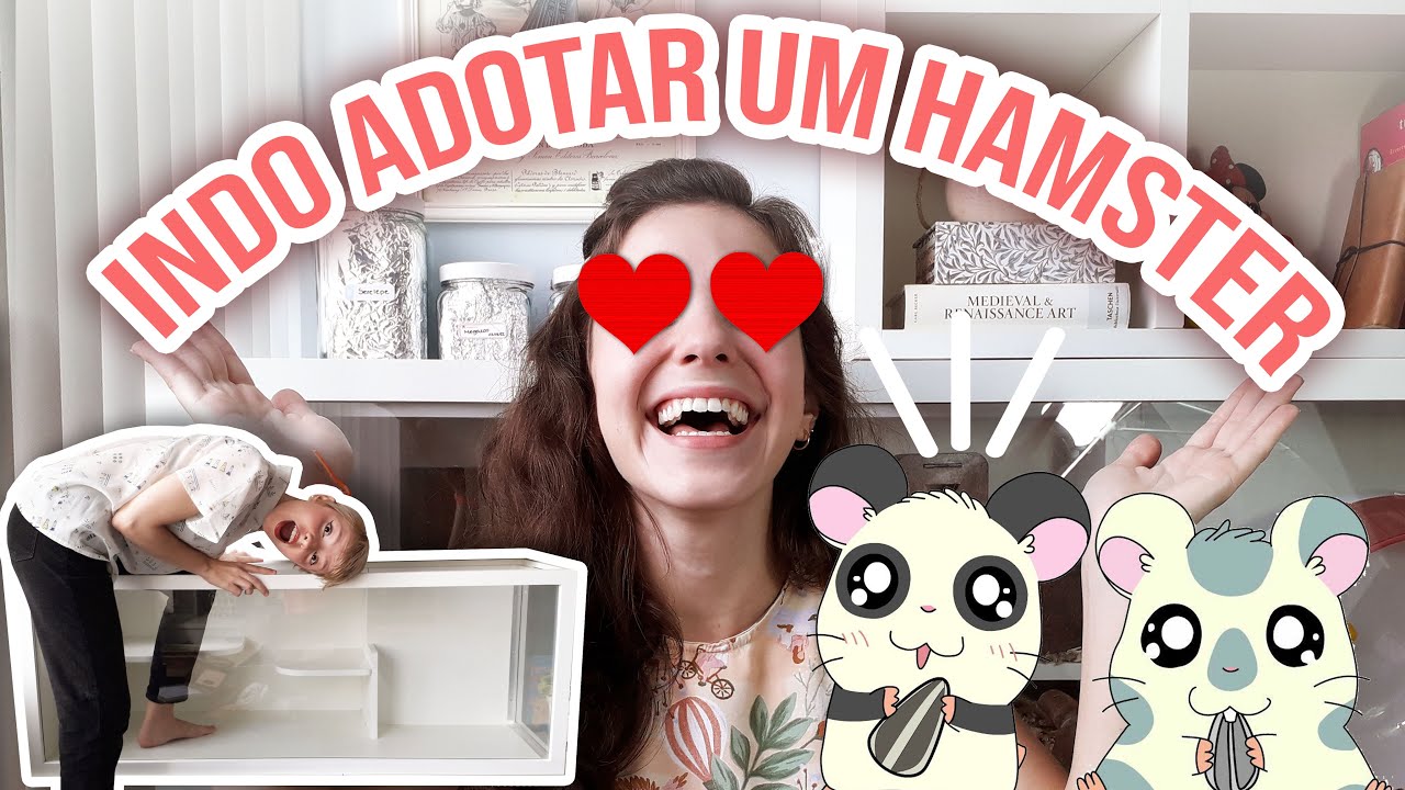 Indo buscar nosso novo hamster | Adoção responsável
