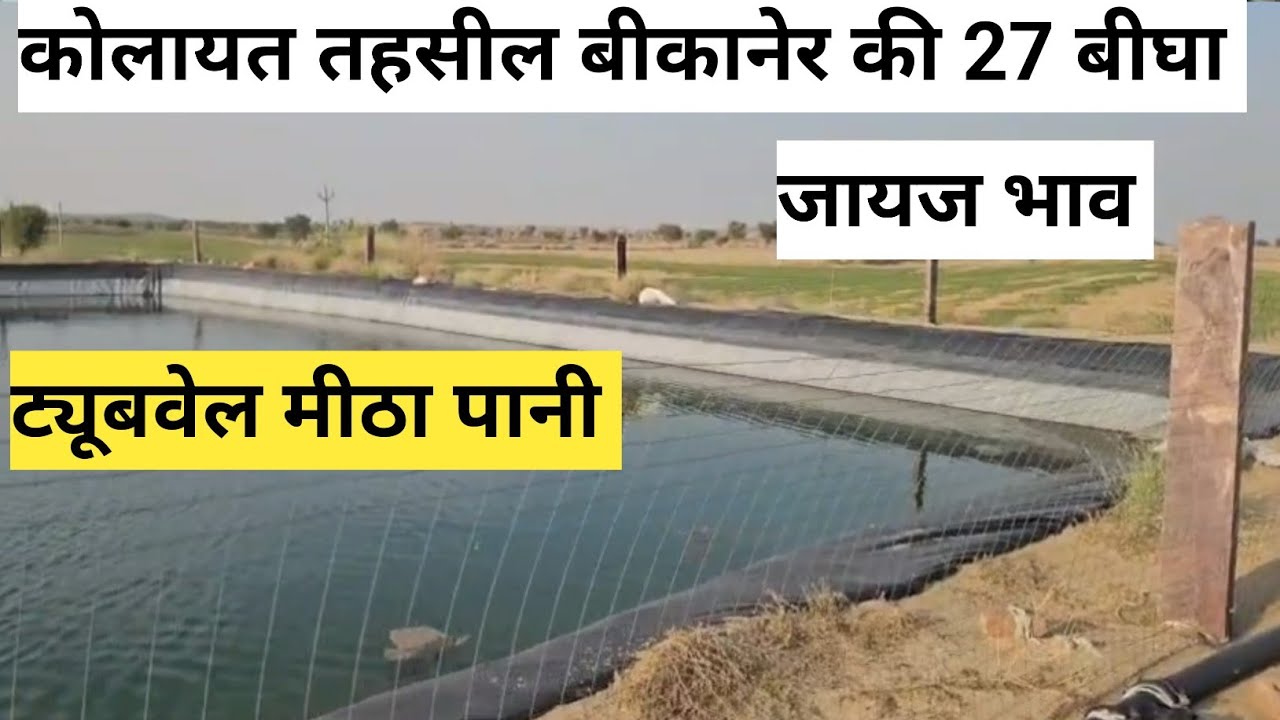 कोलायत तहसील बीकानेर जिले की 27 बीघा जमीन बिकाऊ एक ट्यूबवेल मीठा पानी डिग्गी जायज भाव 