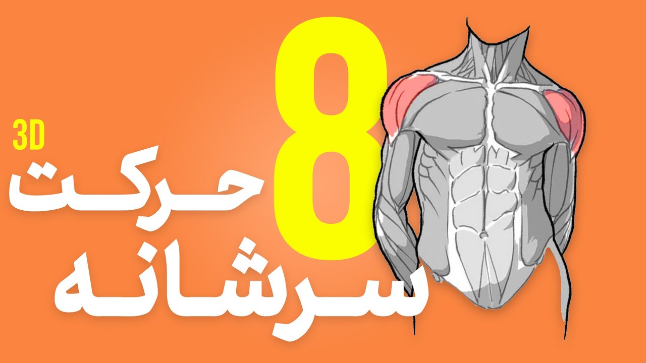 🔥 بهترین حرکات تمرینی سرشانه برای ساختن شانه&zwnj;های قدرتمند (پارت اول) 🔥