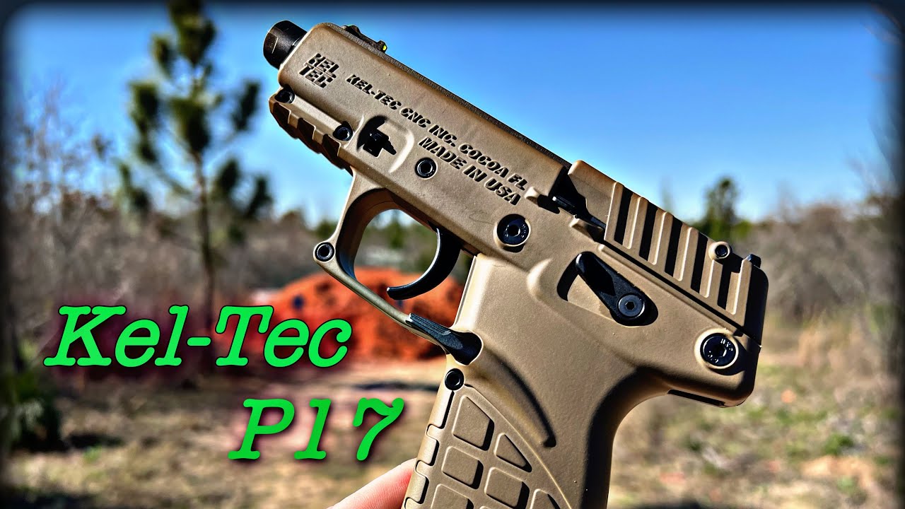 Kel-Tec P17 Review! Best Bang for your Buck?
