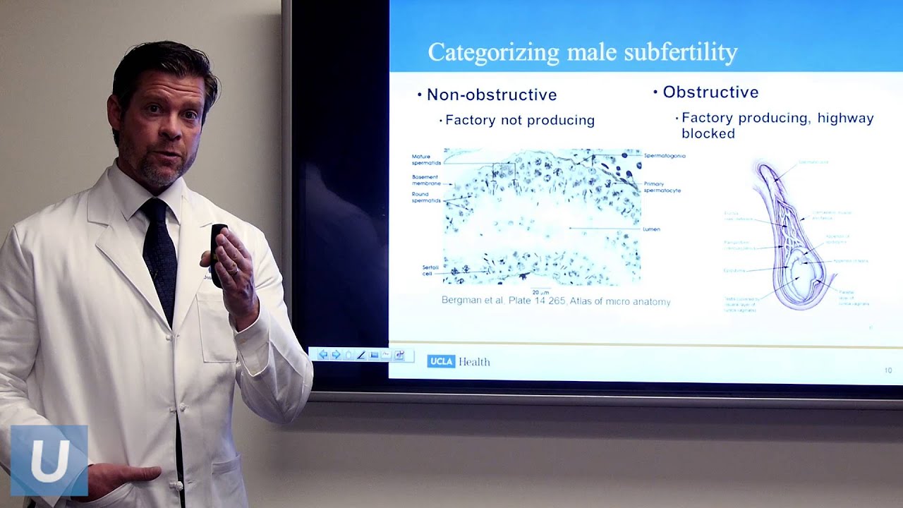 Optimizing Male Fertility | Jesse Mills, MD | UCLAMDChat