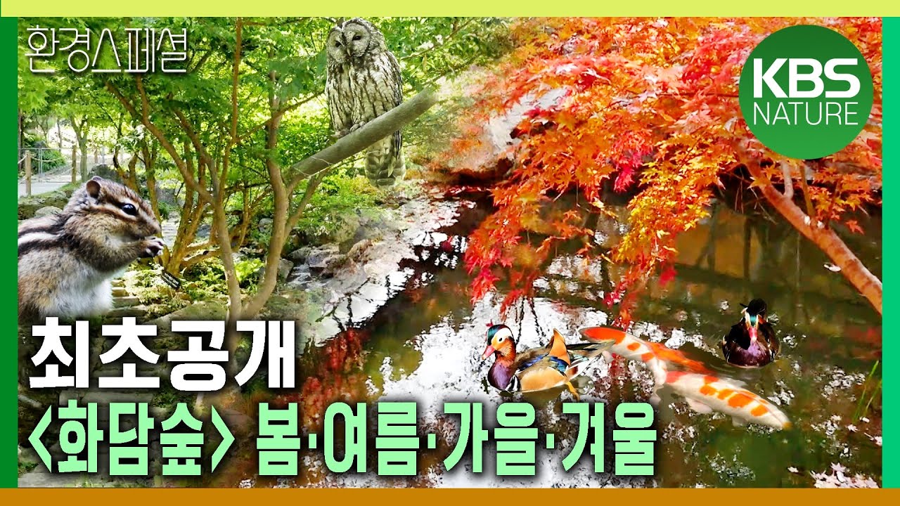 최초공개, [화담숲] 봄·여름·가을·겨울 [신년특집-생명의 숲, 우리 곁에 서다] KBS 20180116 방송