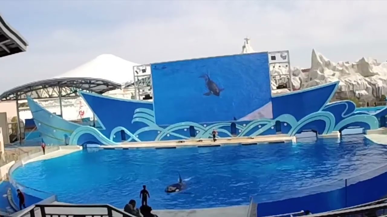 上海海昌海洋公园