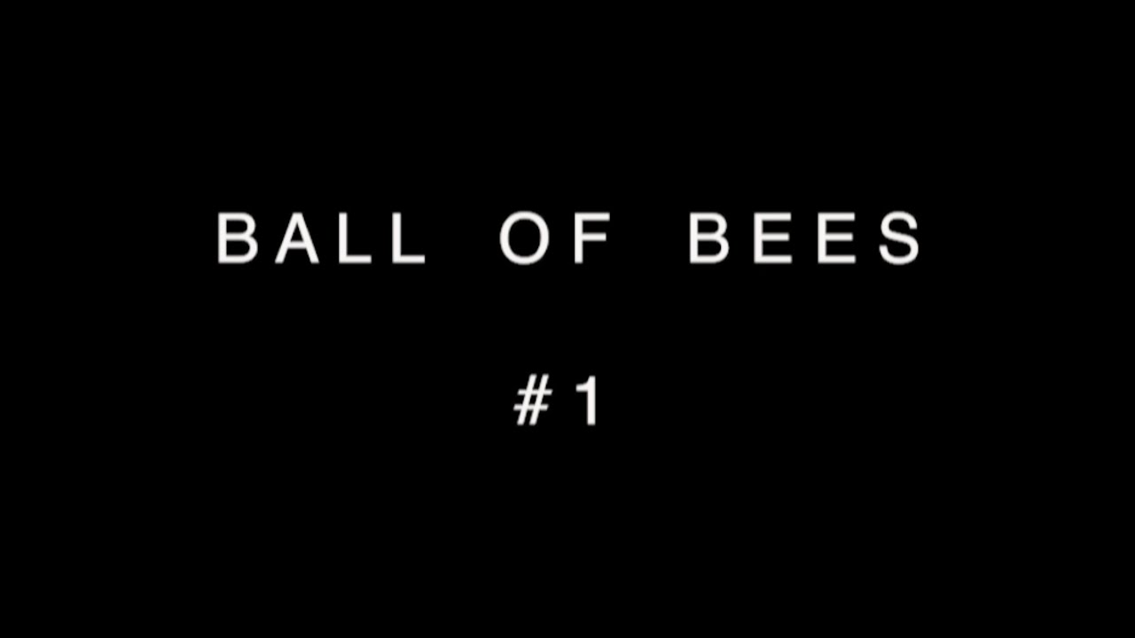 BALL OF BEES #1