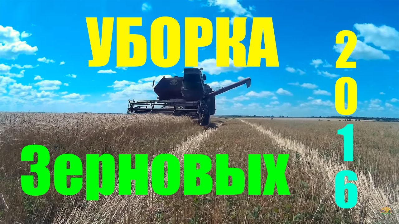 Нива СК-5 , уборка зерновых 2016 /   Niva SК- 5, mowing of  Wheat Harvest
