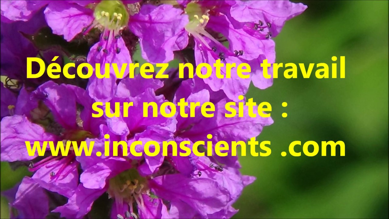 Comment devient-on pervers narcissique ou égocentrique ? Tout se passe dans l'enfance !