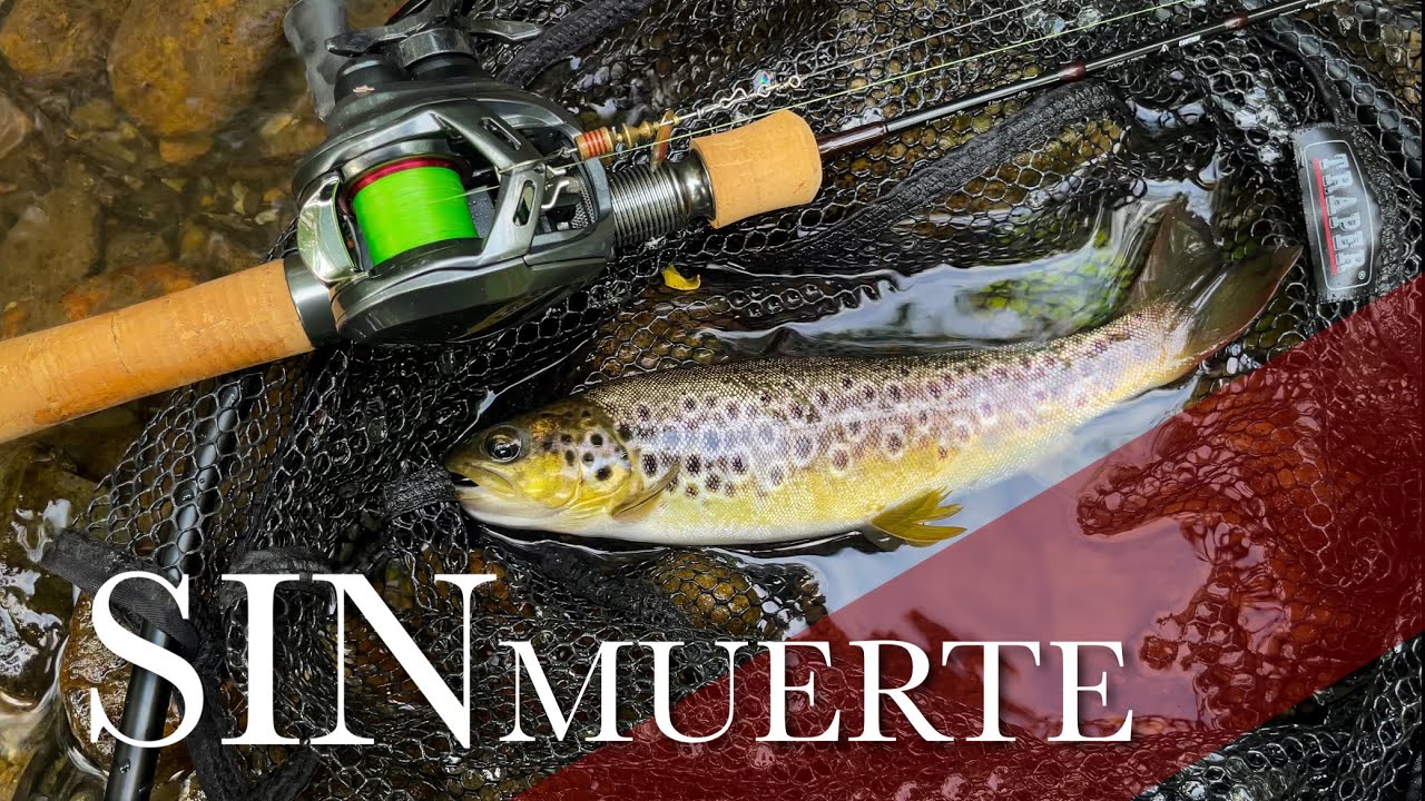 BFS en TRAMO SIN MUERTE || PESCANDO TRUCHAS en POZOS y CHORROS