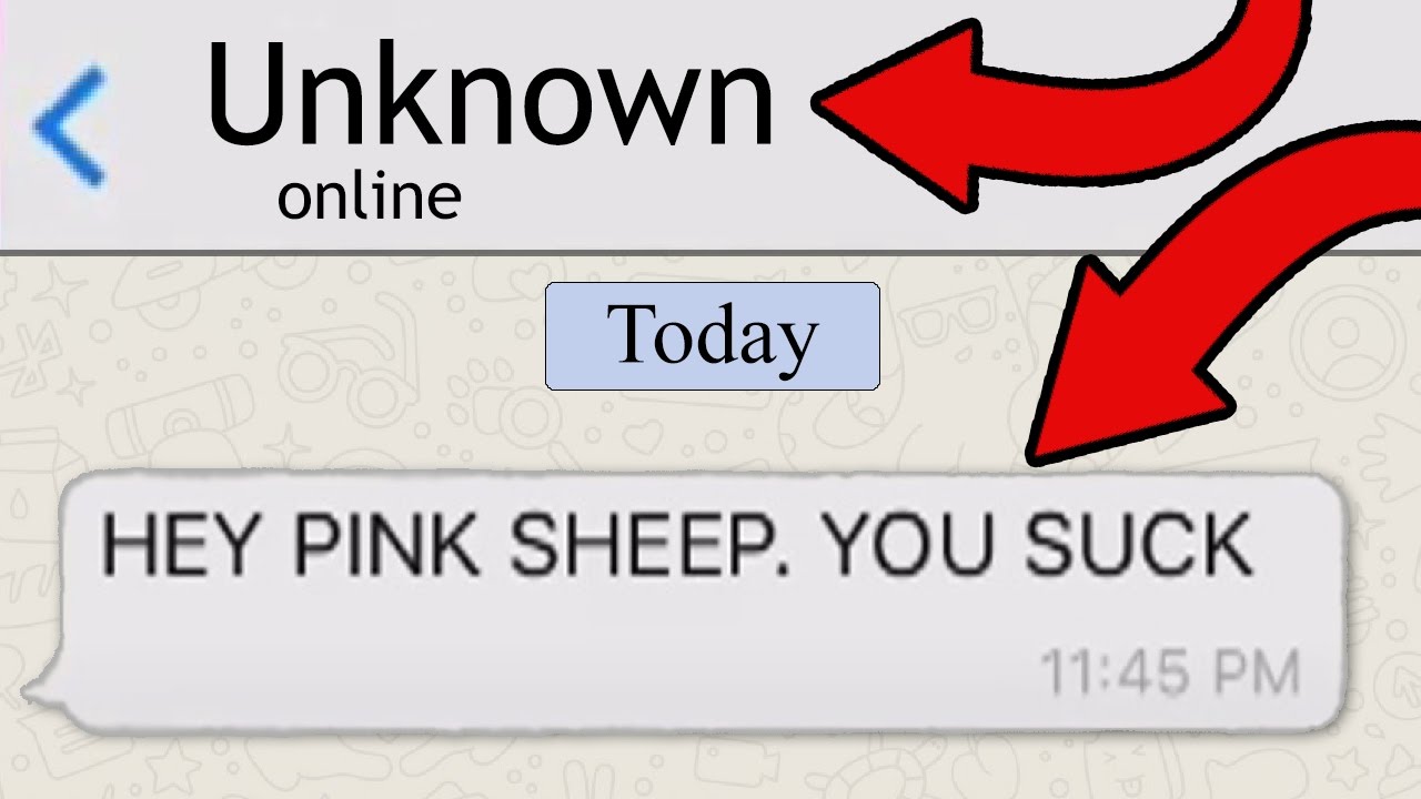 MY #1 HATER FOUND OUT MY PHONE NUMBER!!