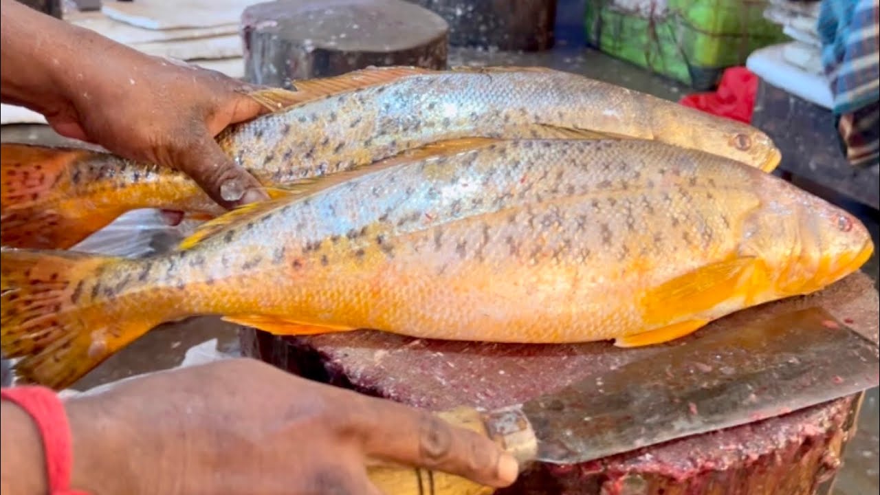 Big Poa Fish Cutting By Expert Fish Cutter | Excellent Fish Cutting Skills