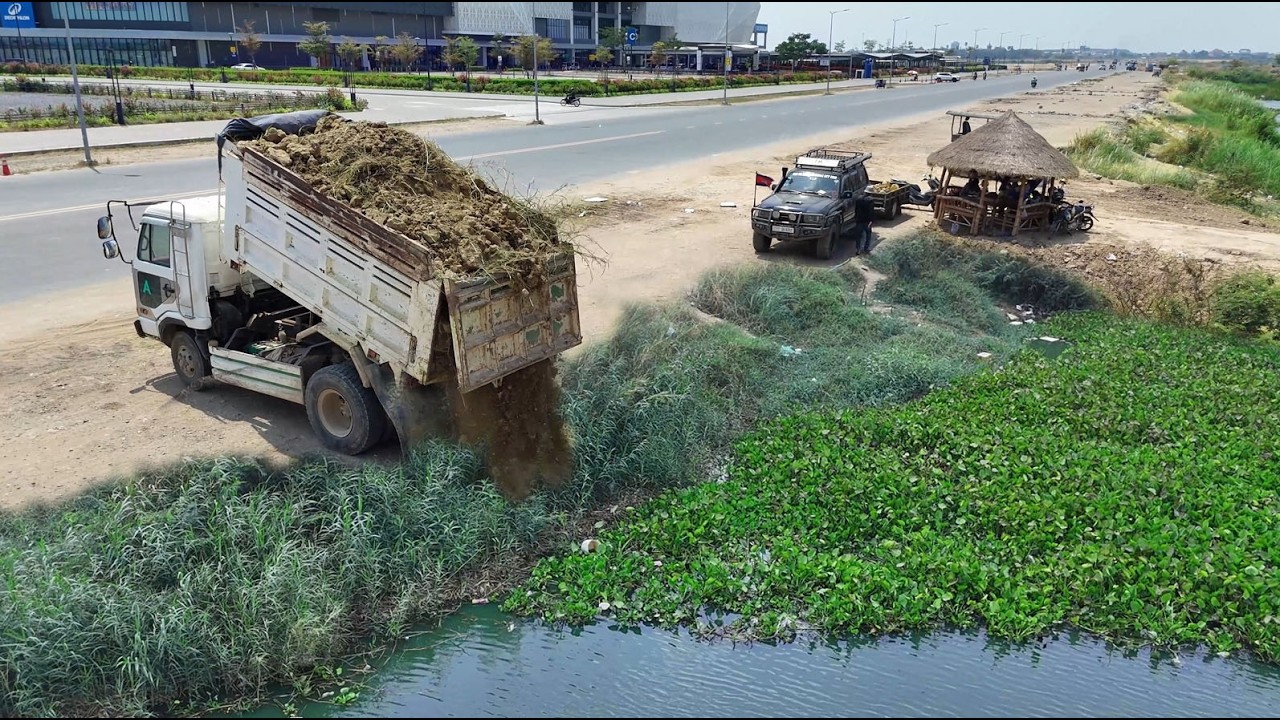 Wonderful Start A New Project!Dump Truck Filling land Deep Lake With Expert Dozer Pushing Soil Water