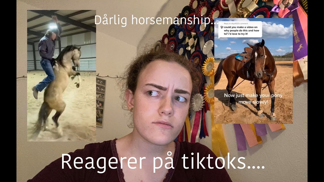 REAGERER P&Aring; D&Aring;RLIG HORSEMANSHIP VIDEOER P&Aring; TIKTOK - IDA SKAFTE OG HESTENE
