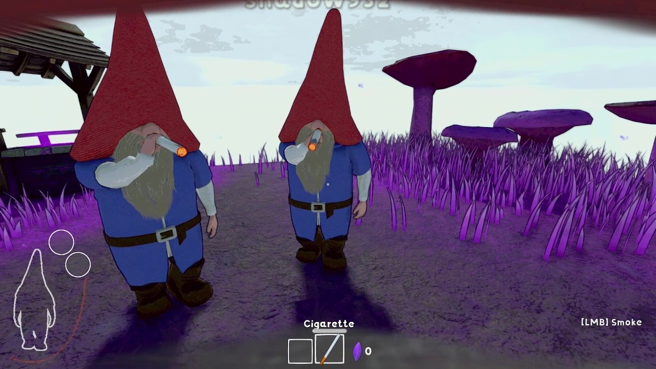 BEST OF BURGLIN' GNOMES