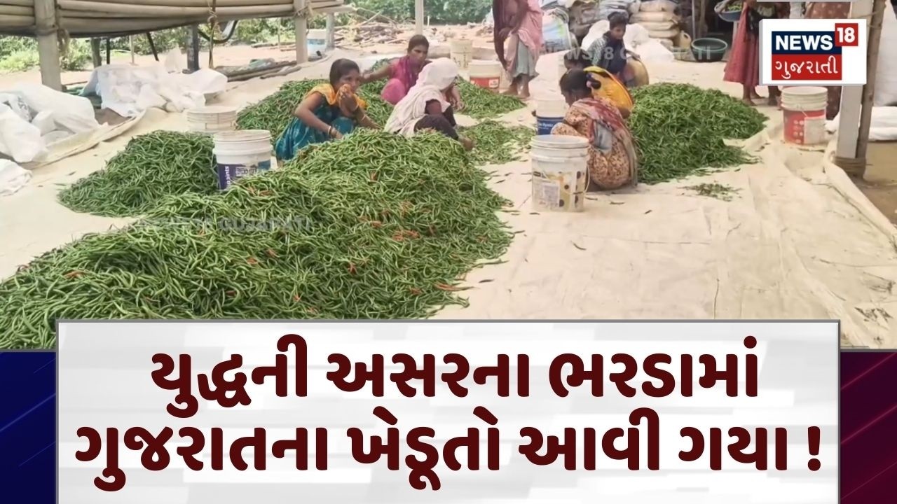 War Effect On Valsad Agriculture | યુદ્ધની અસરના ભરડામાં ગુજરાતના ખેડૂતો આવી ગયા ! | Farmers | N18G
