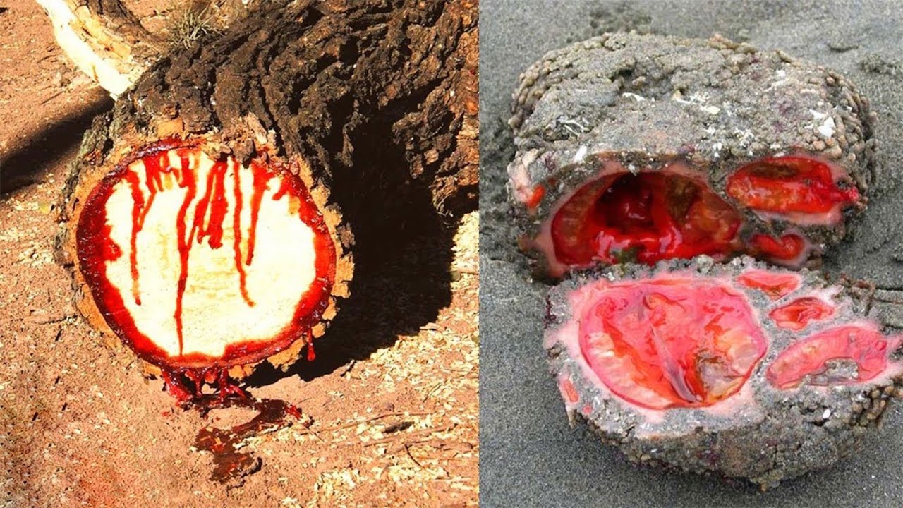 10 verfluchte Objekte - Die die Wissenschaft nicht erklären kann