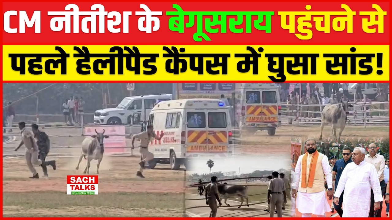 CM नीतीश के बेगूसराय पहुंचने से पहले हैलीपैड कैंपस में घुसा सांड!