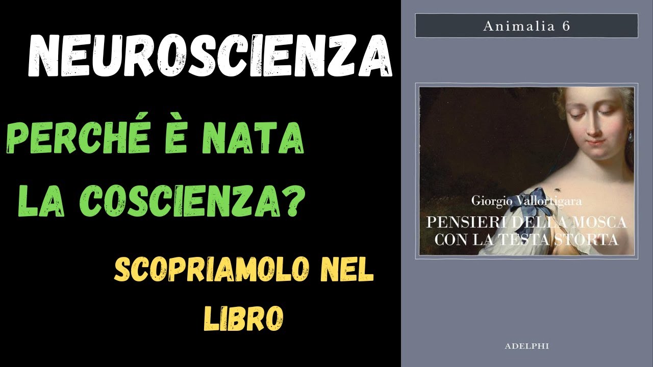 Pensieri della mosca con la testa storta. Giorgio Vallortigara (Divulgazione scientifica)
