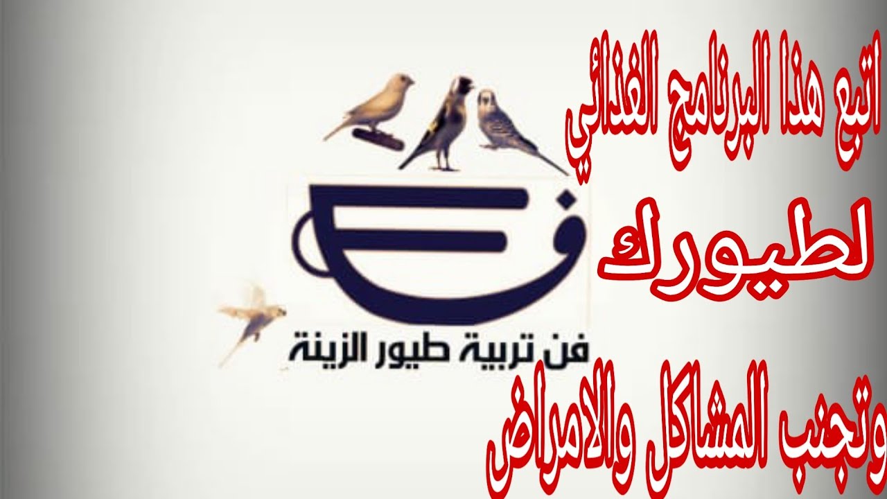 افضل برنامج غذائي اتبعه وحافظ على صحة طيورك على مدار العام وفي جميع المراحل
