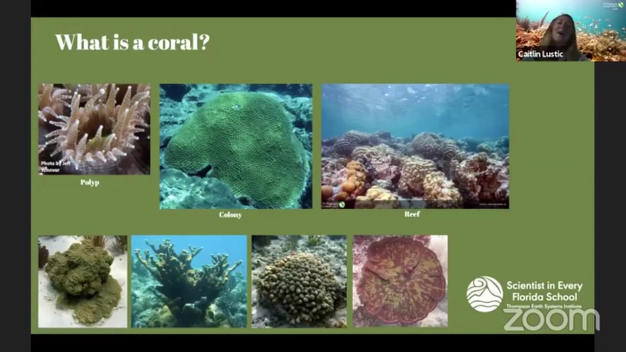 Careers and Conservation: The Nature Conservancy