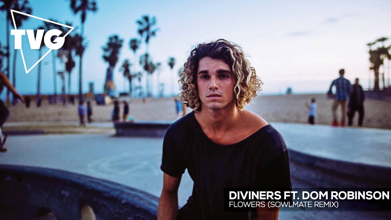 Diviners ft. Dom Robinson - Flowers (Sowlmate Remix)