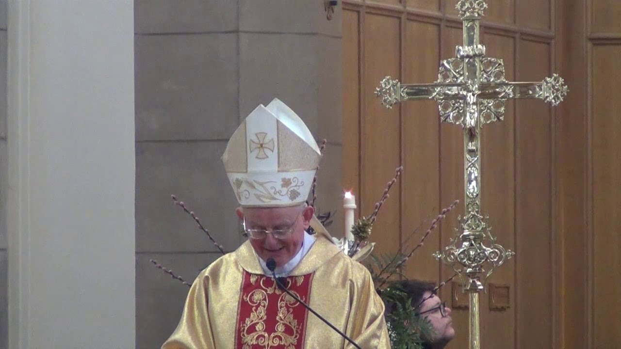 Homily - The Baptism of the Lord 2019
