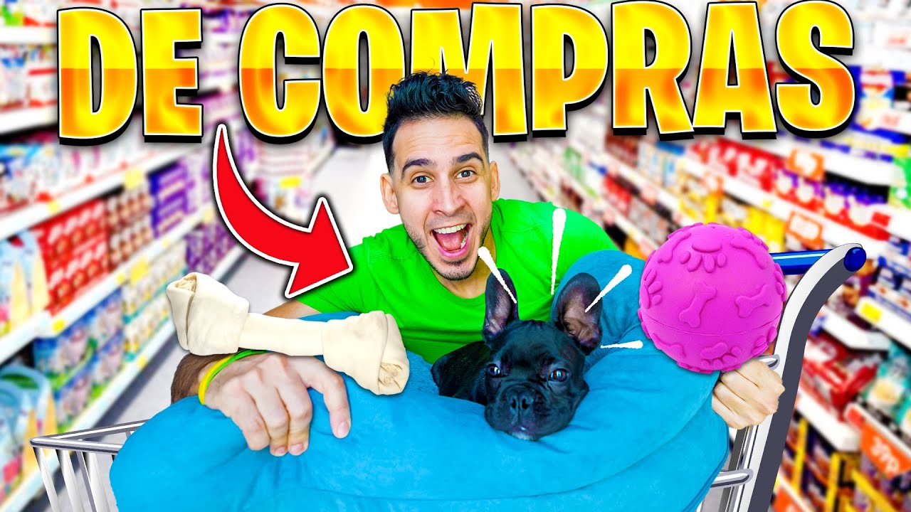 PRIMERAS COMPRAS PARA MI  PERRITO BEBÉ ! Frenchie puppy | HaroldArtist Play