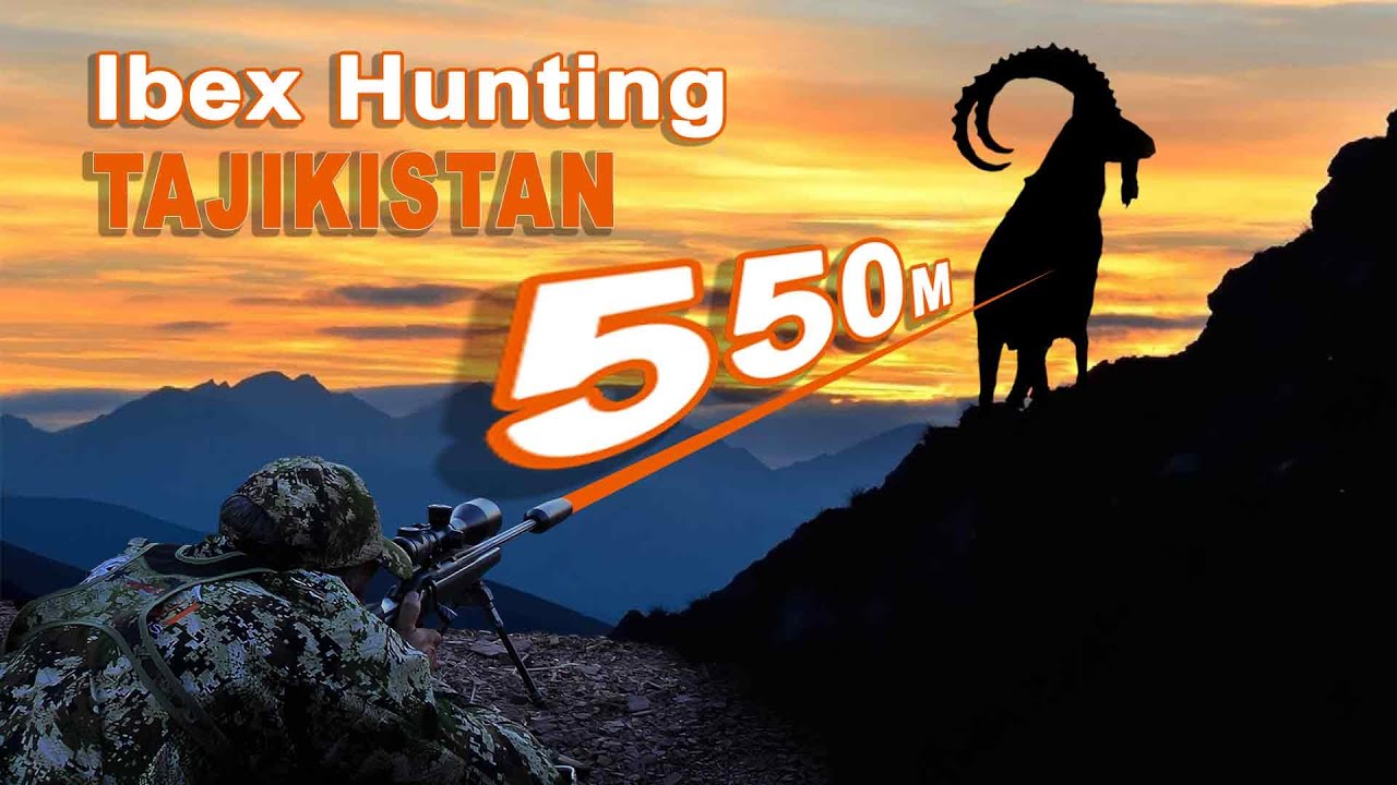 Ibex Hunting in Tajikistan // Chasse &agrave; l'Ibex au Tadjikistan // 2022