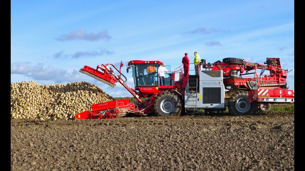 Holmer Terra Felis 2 - Demo suikerbieten laden en nareinigen