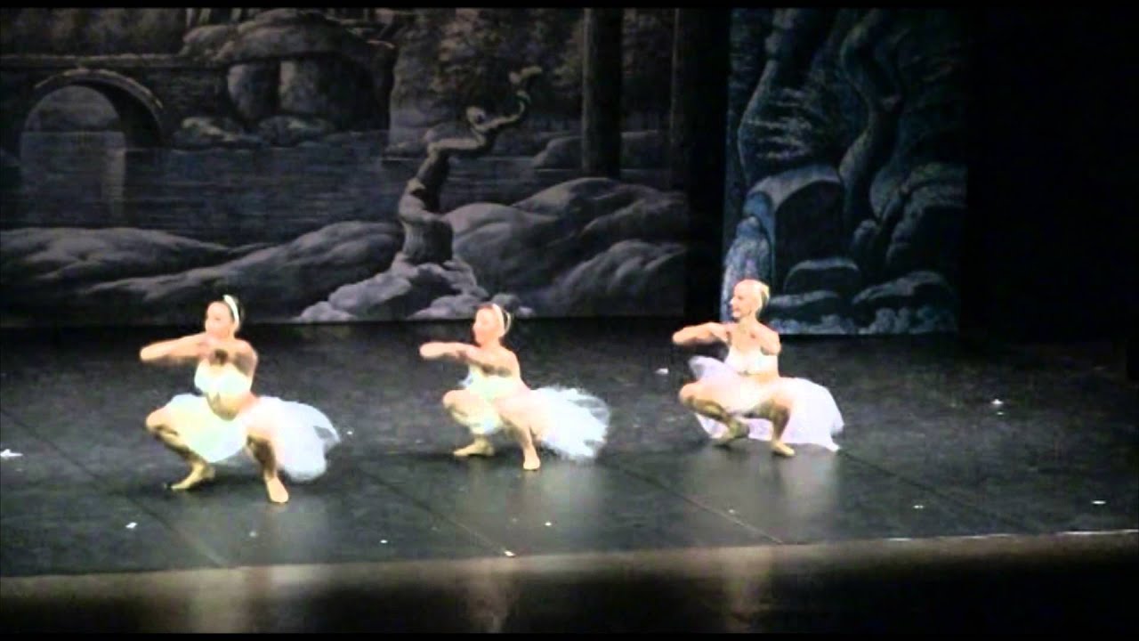 Il Lago dei Cigni - coreografia Luigi Martelletta - musica P.I. Tchaikovsky
