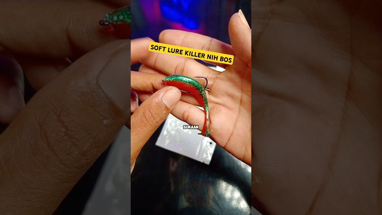 Rekomendasi soft lure umpan casting gabus killer #mancing #mamcingliar #fishing #casting