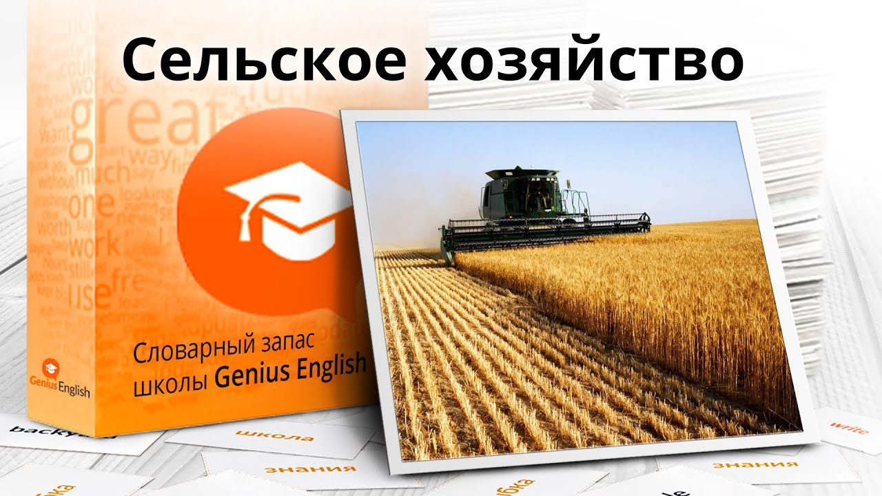 Тема: 