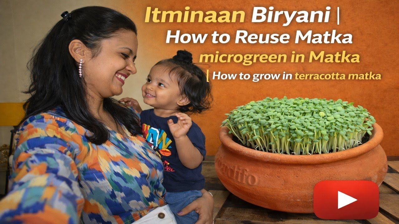 Itminaan Biryani | How to Reuse Matka | microgreen in Matka | How to grow in terracotta matka